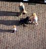 IMG 1140